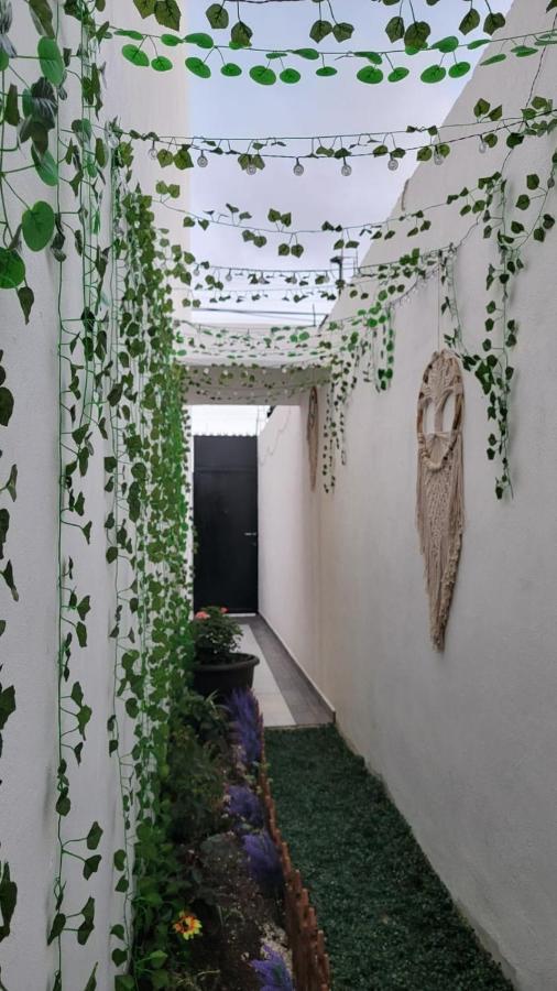 Casa Neptuno Tulum Daire Dış mekan fotoğraf