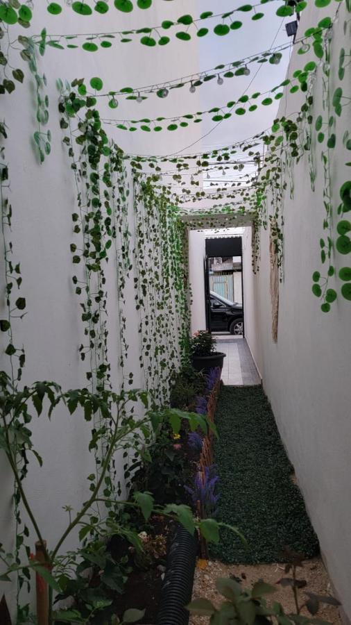 Casa Neptuno Tulum Daire Dış mekan fotoğraf