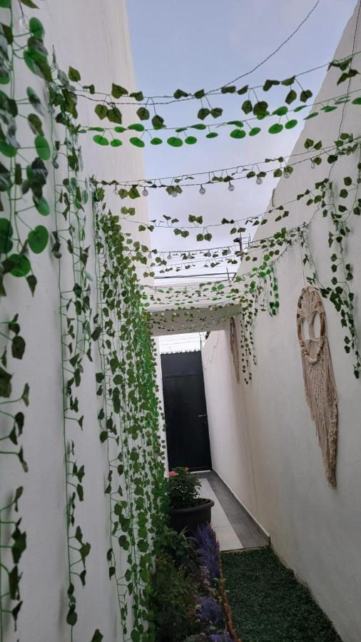 Casa Neptuno Tulum Daire Dış mekan fotoğraf
